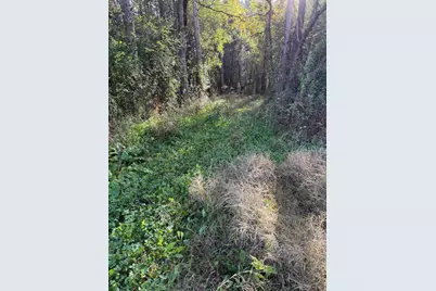Lot 2  County Highway I -, Angelo, WI 54656 - Photo 3