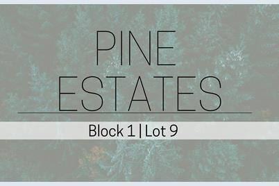 L9B1  Pine Estates - Photo 1