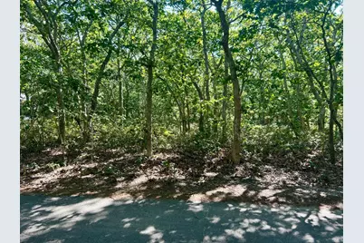 11 Boylston Drive, Edgartown, MA 02539 - Photo 3