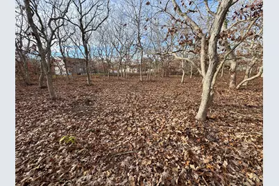 36 Boylston Drive, Edgartown, MA 02539 - Photo 5