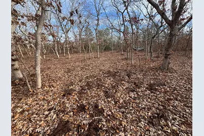 36 Boylston Drive, Edgartown, MA 02539 - Photo 3