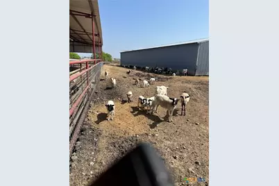 4610 Pfeil Rd Road, Converse, TX 78109 - Photo 9