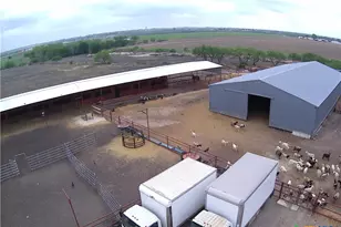 4610 Pfeil Rd Rd, Converse, TX 78109 - Photo 7