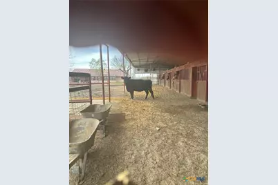 4610 Pfeil Rd Road, Converse, TX 78109 - Photo 11