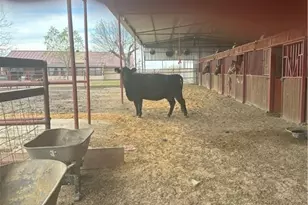 4610 Pfeil Rd Rd, Converse, TX 78109 - Photo 11