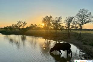 Tbd Cr 358, Gause, TX 77857 - Photo 3