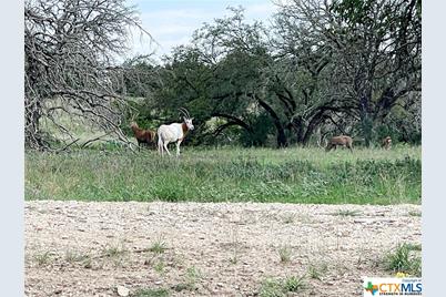 000 River Shoals Drive, Kempner, TX 76539 - Photo 19