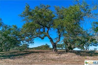 T B D 281 Highway, Blanco, TX 78606 - Photo 3