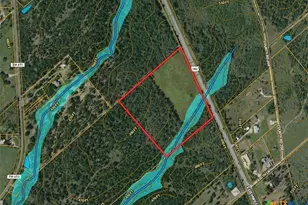 0 S Hwy 183, Lockhart, TX 78644 - Photo 7