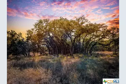 34760 Carries Creek Drive, Bulverde, TX 78163 - Photo 5