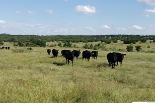 7947 Cr 1255 Rd, Lampasas, TX 76550 - Photo 13