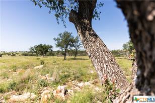 Lot 148 Westridge Way, Kingsland, TX 78639 - Photo 7