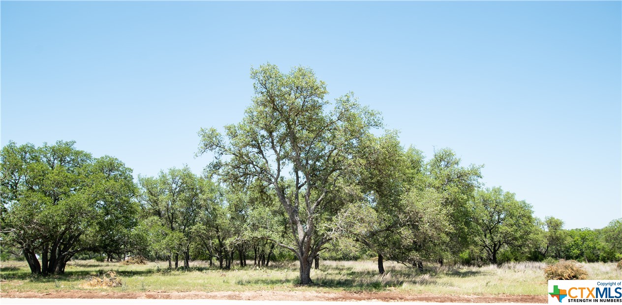 Tbd Lot 82 Shin Oak Dr, Lampasas, TX 76550 - MLS 506588 - Coldwell Banker