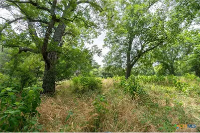 Tbd Fm 671, Luling, TX 78648 - Photo 19