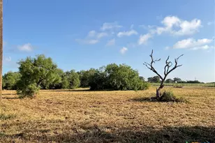 1932 Old Goliad Rd, Cuero, TX 77954 - Photo 1