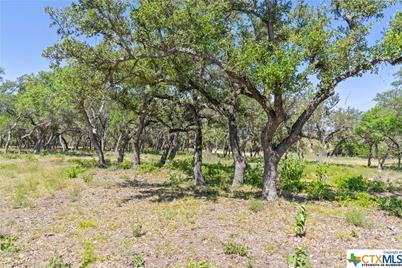 Tract 12 Lewdele Lane, Blanco, TX 78671 - Photo 11