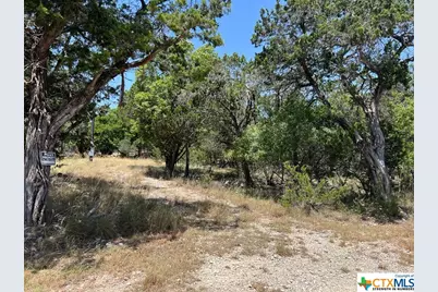 619 Cactus Flower, Canyon Lake, TX 78133 - Photo 7