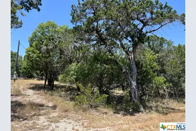 619 Cactus Flower, Canyon Lake, TX 78133 - Photo 1