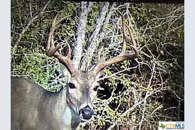 13004 Fm 3353, Kingsbury, TX 78638 - Photo 3