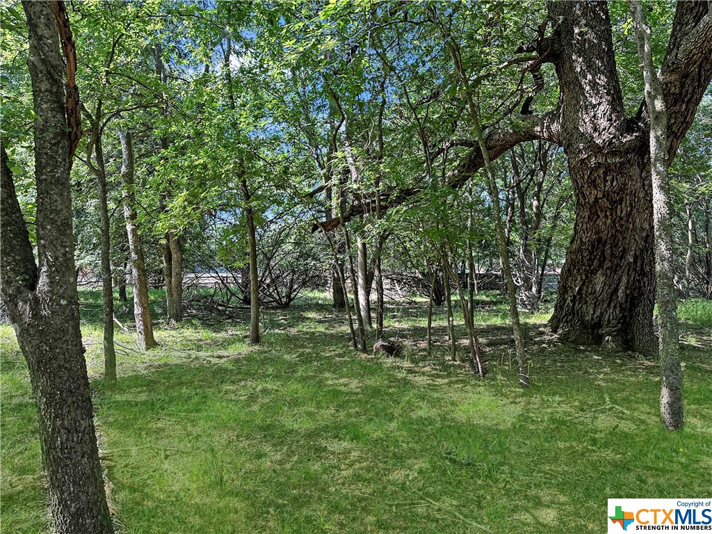 1 Dog Wood Ct, Point Resort, TX 76559 MLS 519770 Coldwell