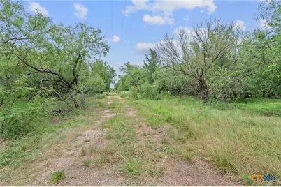 3597 Baker Road, Kingsbury, TX 78638 - Photo 9