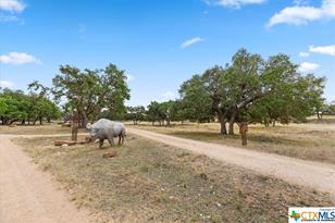 300 Logans Way, Blanco, TX 78606 - Photo 37