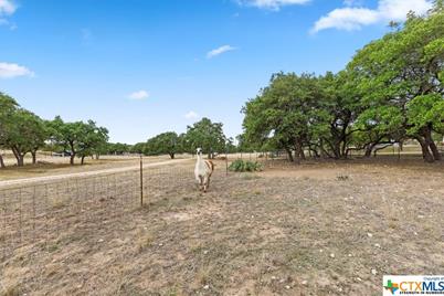 300 Logans Way, Blanco, TX 78606 - Photo 33