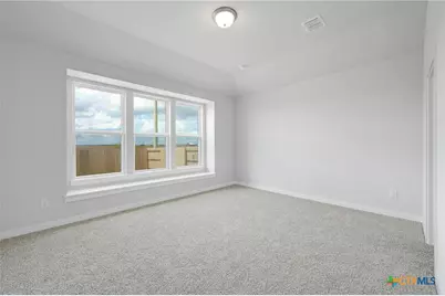 1591 Estelea Grove, New Braunfels, TX 78130 - Photo 15