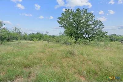 3597 Baker Road, Kingsbury, TX 78638 - Photo 19