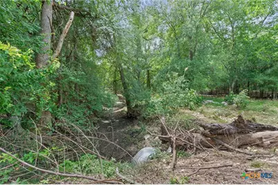 3597 Baker Road, Kingsbury, TX 78638 - Photo 31