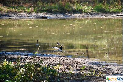 Tbd Herman Lane, Flatonia, TX 78941 - Photo 11