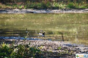 Tbd Herman Ln, Flatonia, TX 78941 - Photo 11