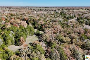 Tbd Herman Ln, Flatonia, TX 78941 - Photo 5
