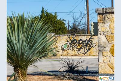 742 Rayner Ranch Boulevard, Spring Branch, TX 78070 - Photo 19