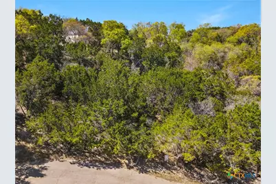 6537 Tallow Drive, Belton, TX 76513 - Photo 5