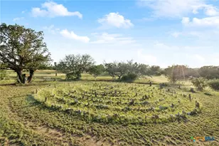 1900 Granite Springs Dr, Fredericksburg, TX 78624 - Photo 41