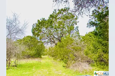 Tbd 2 County Rd 107, Gatesville, TX 76528 - Photo 3