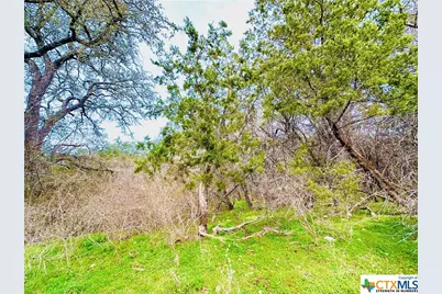 Tbd 2 County Rd 107, Gatesville, TX 76528 - Photo 7