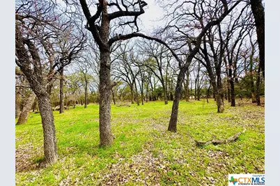 Tbd 2 County Rd 107, Gatesville, TX 76528 - Photo 7