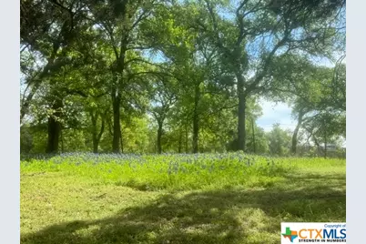 1291 Tweedy Road, Valley Mills, TX 76689 - Photo 29