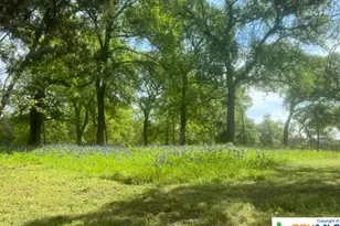 1291 Tweedy Rd, Valley Mills, TX 76689 - Photo 29