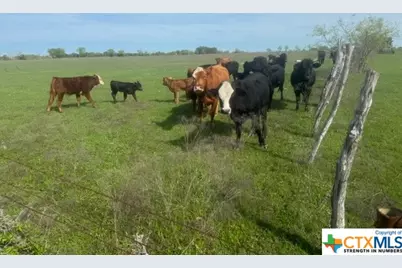 1291 Tweedy Road, Valley Mills, TX 76689 - Photo 25