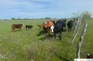 1291 Tweedy Rd, Valley Mills, TX 76689 - Photo 25