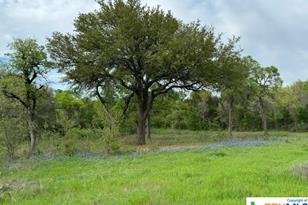 1291 Tweedy Rd, Valley Mills, TX 76689 - Photo 7