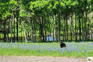 1062 County Rd 101, Rogers, TX 76569 - Photo 29
