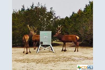 560 Heartleaf Drive, Lampasas, TX 76550 - Photo 31