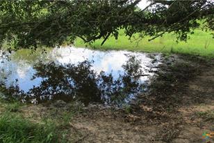 6018 County Rd 18, Damon, TX 77430 - Photo 13