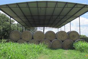 6018 County Rd 18, Damon, TX 77430 - Photo 31