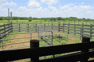 6018 County Rd 18, Damon, TX 77430 - Photo 29