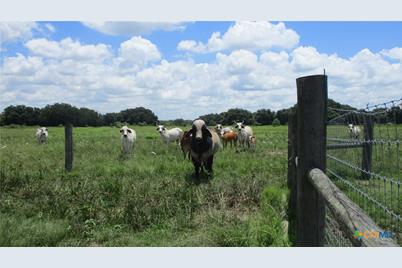 6018 County Road 18, Damon, TX 77430 - Photo 21